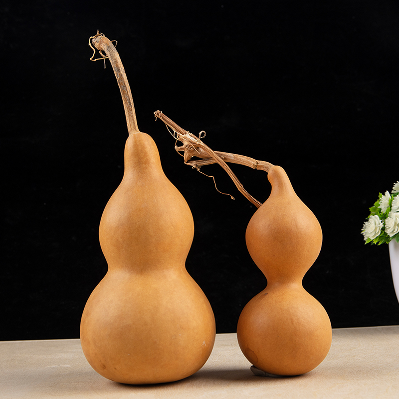 1 Stück natürliche Kürbis-Hand – Longevity Health & Wellness Hotel Adults Only Bewertung und Preis
