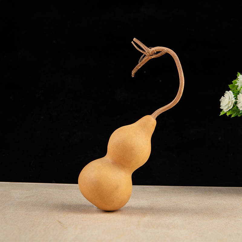 1 Stück natürliche Kürbis-Hand – Longevity Health & Wellness Hotel Adults Only Bewertung und Preis
